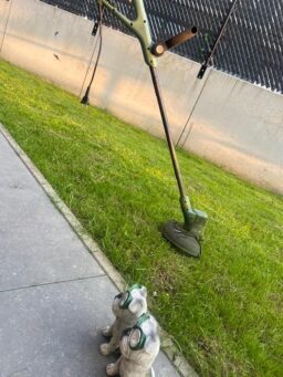 image client 2 Débroussailleuse Électrique Bosch EasyGrassCut 23