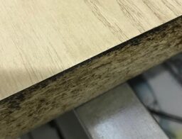 image client 2 Scie sur Table Professionnelle Bosch Pro. Gts 10 Xc