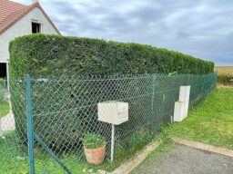 image client 2 Taille Haies sans fil Bosch UniversalHedgeCut 18V 50