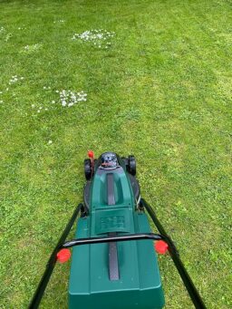 image client 2 Tondeuse À Gazon sans fil Bosch CityMower 18V 32 300