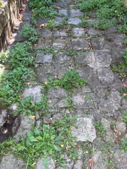 image client 2 Débroussailleuse Électrique Xbzzgmg sans fil 21V