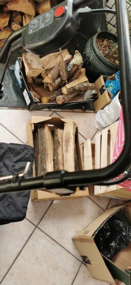 image client 2 Scarificateur Électrique Einhell GE sa 1640