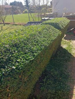 image client 2 Taille Haies sans fil Einhell GC CH 1855-1 Li Kit Power X Change