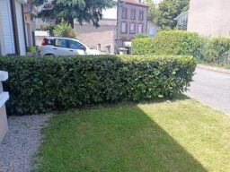 image client 2 Taille Haies sans fil Greenworks GD24HT61K2