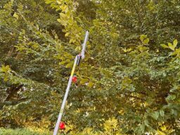 image client 2 Élagueuse sur Perche Hychika Better Tools Taille Haie Télescopique Électrique 900W