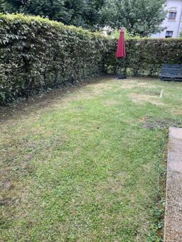 image client 2 Outil de Jardinage Électrique Litheli 2 en 1 Élagueur sur Perche & Taille Haie sans fil