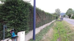 image client 2 Taille Haie sans fil Makita DUH751Z