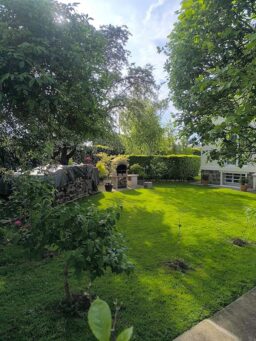 image client 2 Robot Tondeuse Connecté WORX Landroid Plus WR147E.1