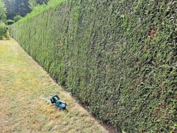 image client 2 Taille Haie sans fil RINOXAR TrimCut Pro