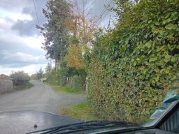 image client 2 Taille Haie Télescopique Alloyman Y 01