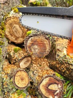 image client 2 Taille Haie Vevor Batterie Telescopique