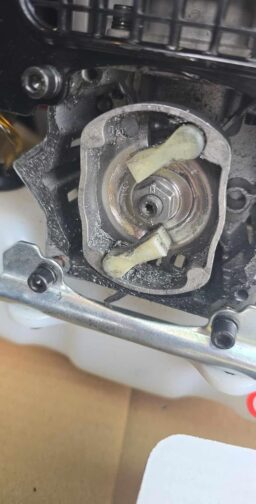 image client 3 Débroussailleuse Thermique Multifonction Scheppach MFH5300 4BP