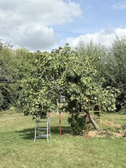 image client 3 Étai Télescopique de Soutien 3 H Set de 4 Réglable