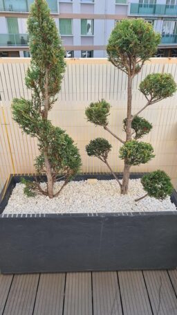 image client 3 Cisaille Bosch Easyshear sans fil Jardinage