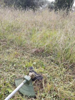 image client 3 Débroussailleuse sans fil Bosch Advancedbrushcut 36v 23 750