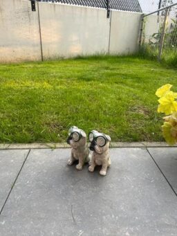 image client 3 Débroussailleuse Électrique Bosch EasyGrassCut 23