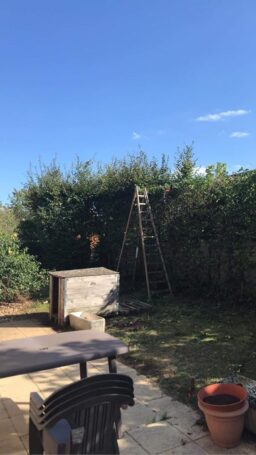 image client 3 Taille Haies Télescopique Einhell GC HH 5056