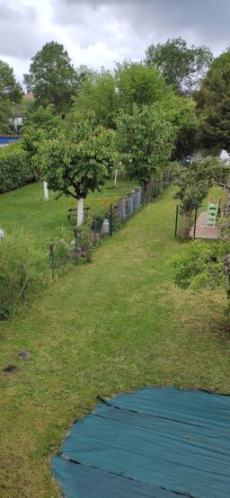image client 3 Tondeuse Robot Gardena SILENO City 500