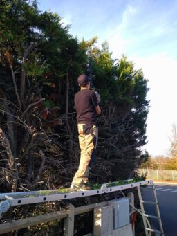 image client 3 Échelle Multifonction Ikodm 4x5