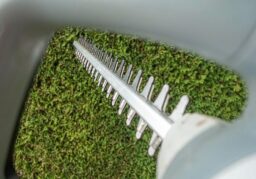 image client 3 Taille Haie Électrique Ikra IHS 650