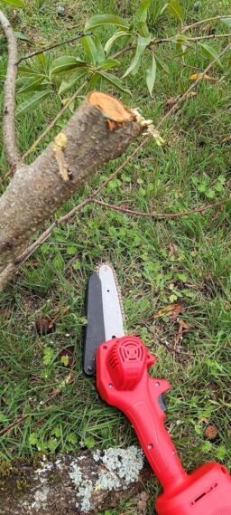 image client 3 Tronçonneuse Électrique sans fil Ginarelo Mini À Batterie 6 Pouces