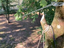 image client 3 Palan À Levier Einhell TC LW 2000