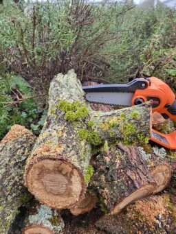 image client 3 Taille Haie Vevor Batterie Telescopique