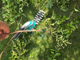 image client 4 Cisaille Taille Herbes sans fil Bosch Isio Set