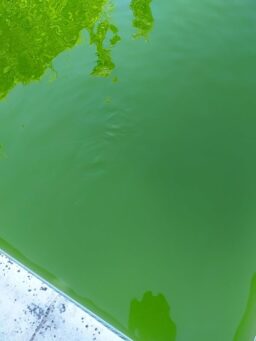 image client 4 Aspirateur Eau Poussière Filaire Einhell TC VC 1812 S