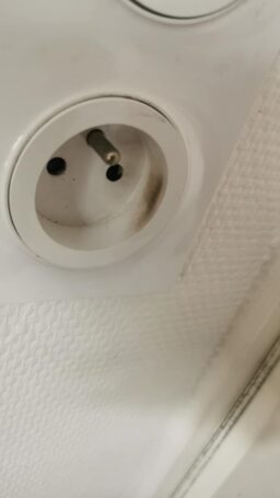 image client 4 Coupe Bordure sans fil Greenworks 2x24V Débroussailleuse