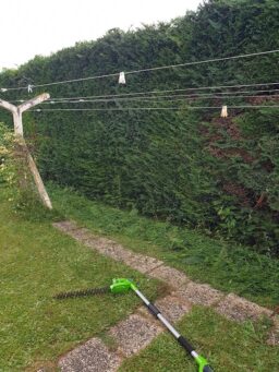 image client 4 Taille Haie Perche Greenworks G24PH51K2