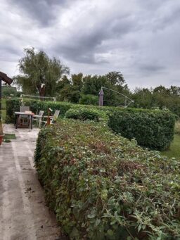 image client 4 Outil de Jardinage Électrique Litheli 2 en 1 Élagueur sur Perche & Taille Haie sans fil