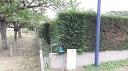 image client 4 Taille Haie sans fil Makita DUH751Z