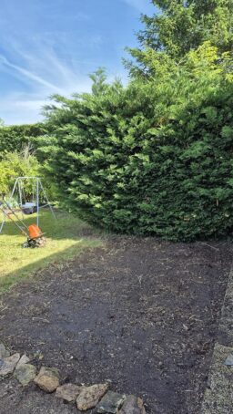 image client 4 Motobineuse Électrique Mytol 1500W