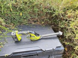 image client 4 Cisaille À Gazon sans fil Ryobi RY18GSA 0