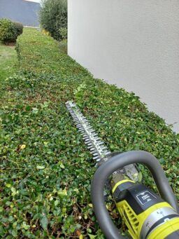 image client 4 Taille Haies Électrique Ryobi Rht5655rs