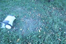 image client 4 Scarificateur Électrique Gardena EVC 1000