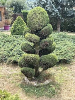 image client 4 Taille Haies Électrique SnapFresh Cisaille À Gazon Mini Haie sans fil