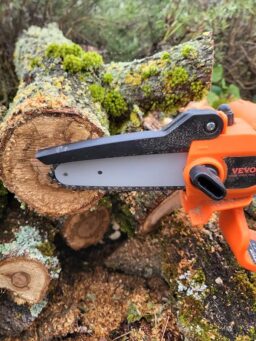 image client 4 Taille Haie Vevor Batterie Telescopique