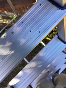 image client 5 Escabeau Amig Échelle Pliable 7 Marches Aluminium