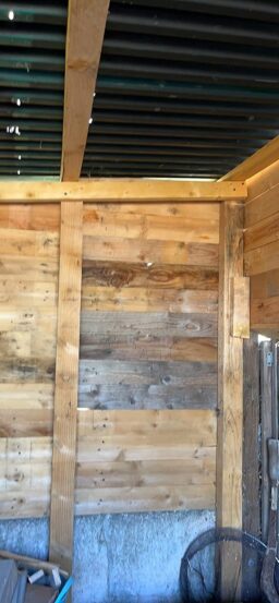 image client 5 Cloueur Pneumatique DEWALT Dpsb2in1 Xj