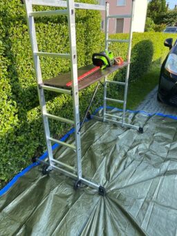 image client 5 Taille Haie Batterie Greenworks G40HT61