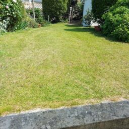 image client 5 Scarificateur Électrique Einhell GC sa 1231-1