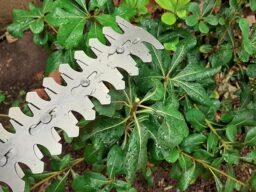 image client 6 Cisaille À Gazon Bosch AdvancedShear 18V 10