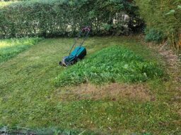 image client 6 Tondeuse À Gazon sans fil Bosch CityMower 18V 32 300