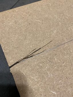 image client 6 Scie À Chantourner Dremel MS20 Moto Saw