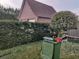 image client 6 Taille Haies sans fil Einhell GC CH 1855-1 Li Kit Power X Change