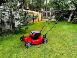 image client 6 Tondeuse À Gazon sans fil Einhell Ge Cm 36-48 Li M Solo Power X Change