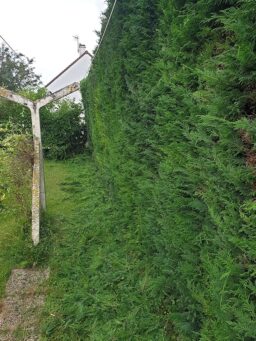 image client 6 Taille Haie Perche Greenworks G24PH51K2