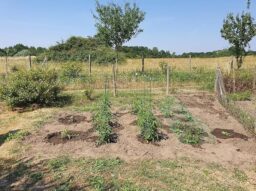 image client 6 Motobineuse sans fil Einhell GE CR 30 Li Solo Power X Change